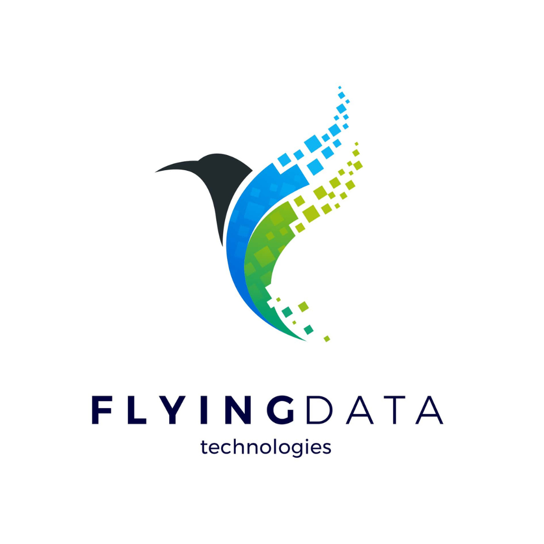 Flying Data